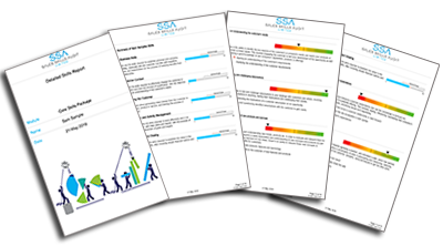 Easy to read sales assessment reports